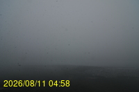 Img20260811_045831.jpg