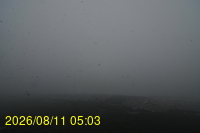 Img20260811_050331.jpg