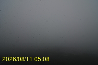 Img20260811_050831.jpg