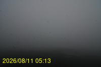 Img20260811_051331.jpg