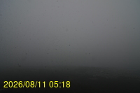 Img20260811_051831.jpg