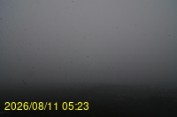 Img20260811_052331.jpg