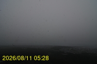 Img20260811_052831.jpg