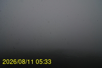 Img20260811_053331.jpg