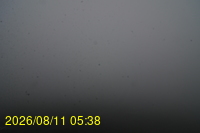 Img20260811_053831.jpg