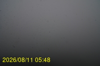 Img20260811_054831.jpg
