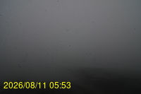 Img20260811_055331.jpg