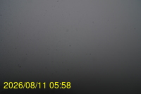 Img20260811_055831.jpg