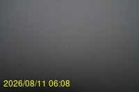Img20260811_060831.jpg