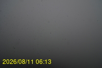 Img20260811_061331.jpg