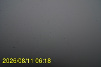 Img20260811_061831.jpg