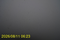Img20260811_062331.jpg