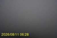 Img20260811_062831.jpg