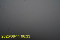 Img20260811_063331.jpg