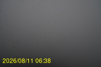 Img20260811_063831.jpg