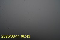 Img20260811_064331.jpg