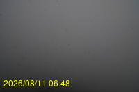 Img20260811_064831.jpg