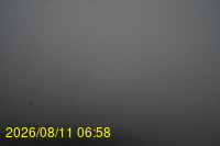 Img20260811_065831.jpg