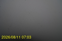 Img20260811_070331.jpg