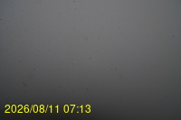Img20260811_071331.jpg