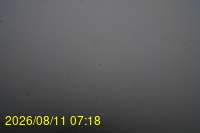 Img20260811_071831.jpg