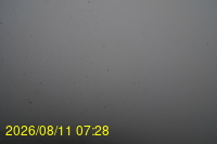 Img20260811_072831.jpg