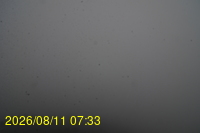 Img20260811_073331.jpg