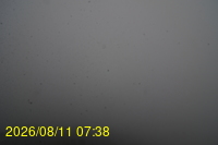 Img20260811_073831.jpg