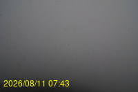 Img20260811_074331.jpg