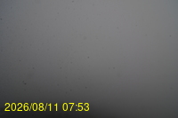 Img20260811_075331.jpg
