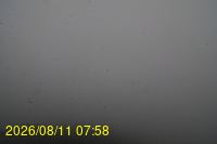 Img20260811_075831.jpg