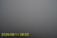Img20260811_080331.jpg