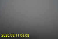 Img20260811_080831.jpg