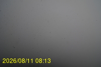 Img20260811_081331.jpg