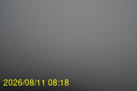 Img20260811_081831.jpg