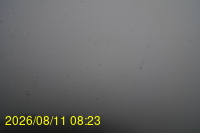Img20260811_082331.jpg