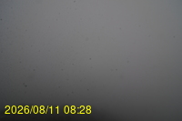 Img20260811_082831.jpg