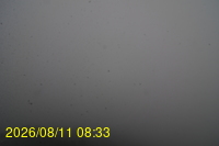 Img20260811_083331.jpg