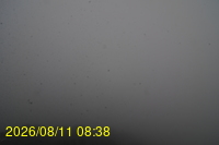 Img20260811_083831.jpg