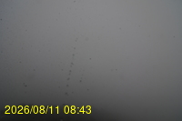 Img20260811_084331.jpg