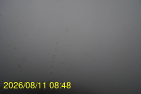Img20260811_084831.jpg