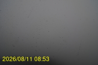 Img20260811_085331.jpg