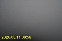 Img20260811_085831.jpg