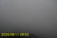 Img20260811_090331.jpg