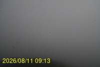 Img20260811_091331.jpg