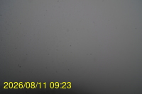 Img20260811_092331.jpg