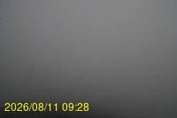 Img20260811_092831.jpg
