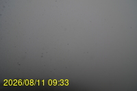 Img20260811_093331.jpg