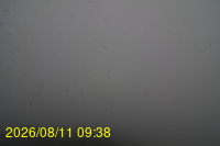 Img20260811_093831.jpg