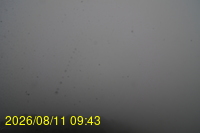 Img20260811_094331.jpg